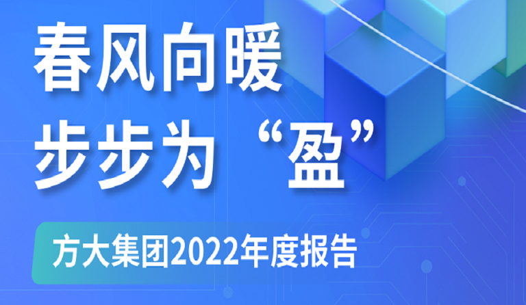 一图读懂方大集团2022年度报告